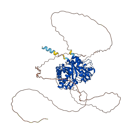 OVGP1 3D structure