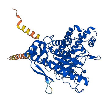 HYAL2 3D structure