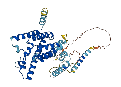 TMEM115 3D structure