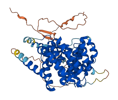 IFRD2 3D structure