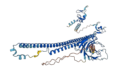 TRIM26 3D structure