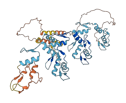 ZNF155 3D structure