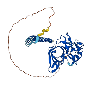 AIMP1 3D structure