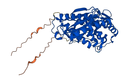 ILF2 3D structure