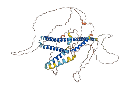 LRMP 3D structure
