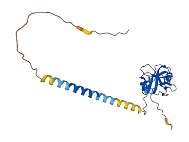 KLRB1 3D structure