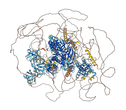 PTPN13 3D structure