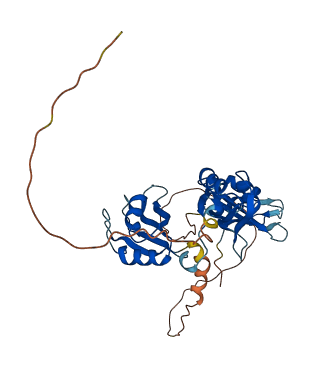 ELAVL2 3D structure