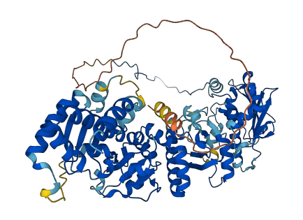 TRAP1 3D structure
