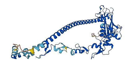 TRAF2 3D structure
