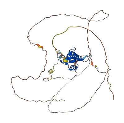 FOXF1 3D structure
