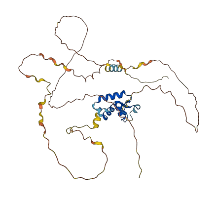FOXI1 3D structure