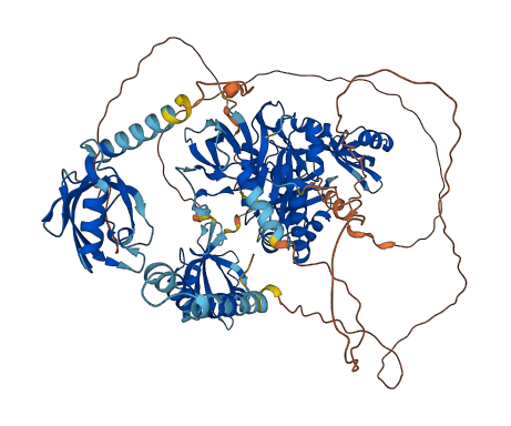DLG1 3D structure