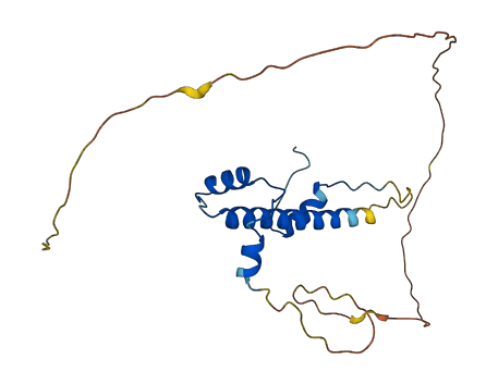 TAF10 3D structure