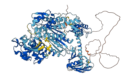 MYO1E 3D structure