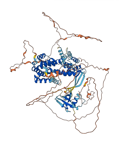 RALGDS 3D structure
