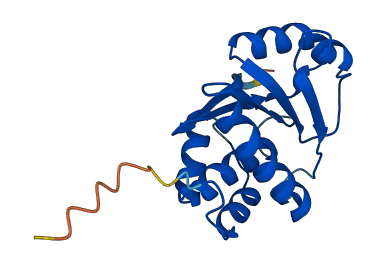 PTP4A2 3D structure