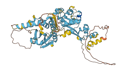 NPRL3 3D structure