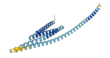 BNIP1 3D structure