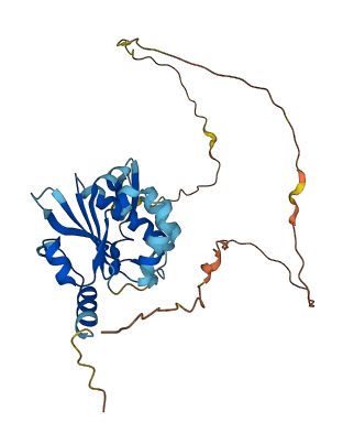 BNIP2 3D structure