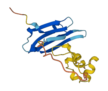 HSPB3 3D structure