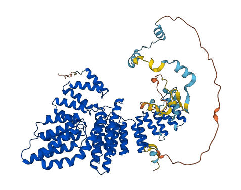CSTF3 3D structure