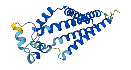 TSPAN31 3D structure