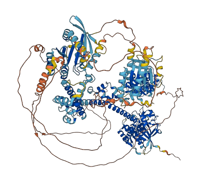 ARHGAP5 3D structure