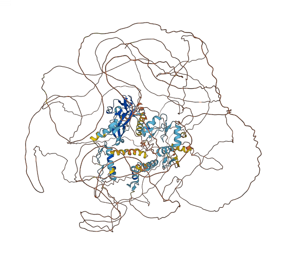 PRDM2 3D structure