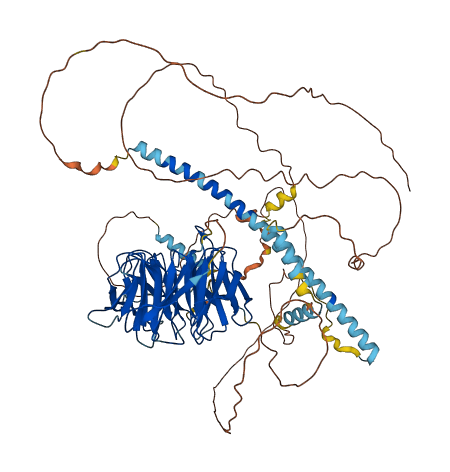 STRN3 3D structure