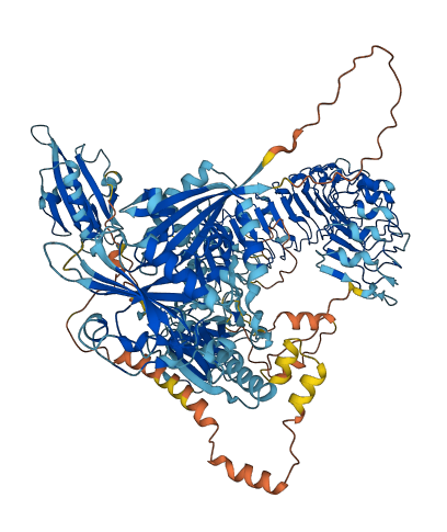 FLII 3D structure