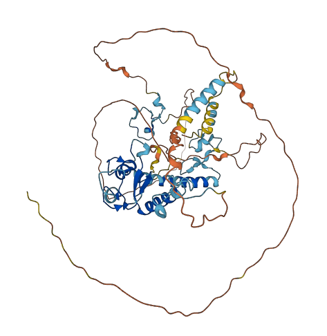 MKRN3 3D structure