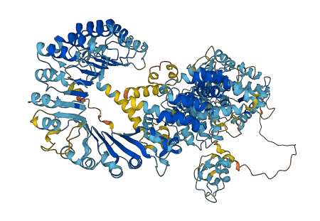 NAIP 3D structure