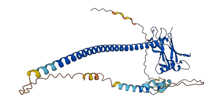 TRAF1 3D structure