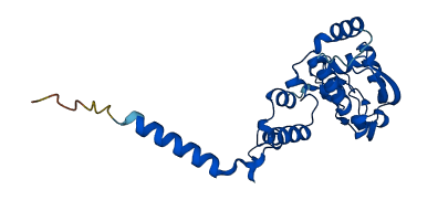 MRPL28 3D structure