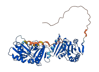 PDIA2 3D structure