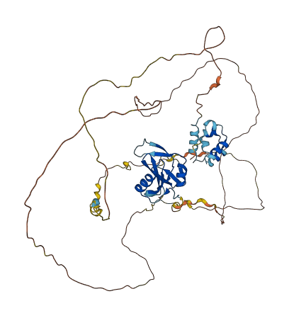 LCP2 3D structure