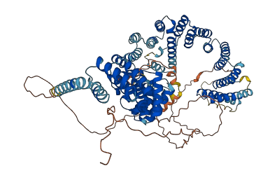 IFT88 3D structure