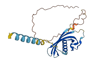 SPP2 3D structure