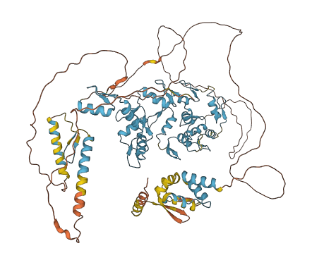 ZBTB17 3D structure