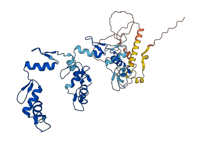 ZNF154 3D structure