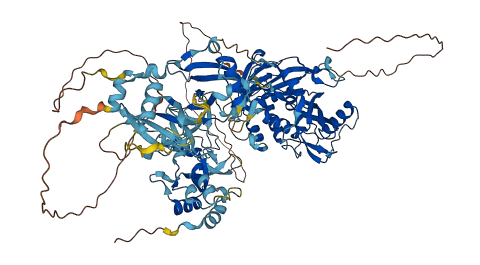 USP4 3D structure