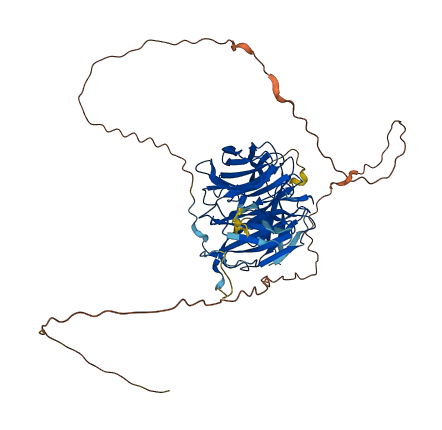 CHAF1B 3D structure