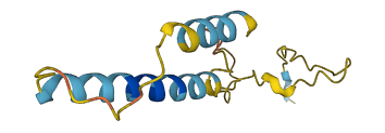 PDZK1IP1 3D structure