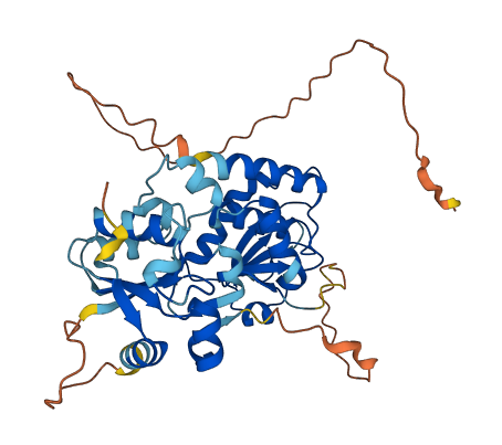 DUSP4 3D structure