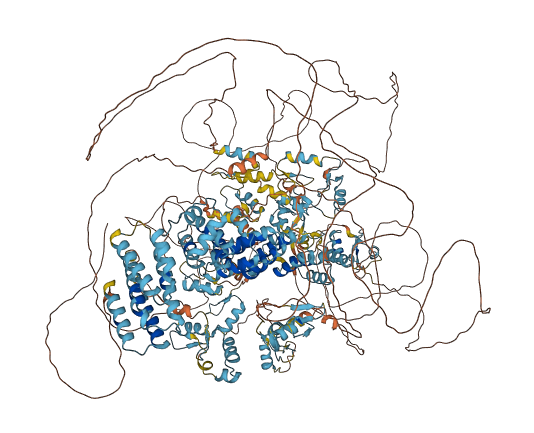 RLF 3D structure