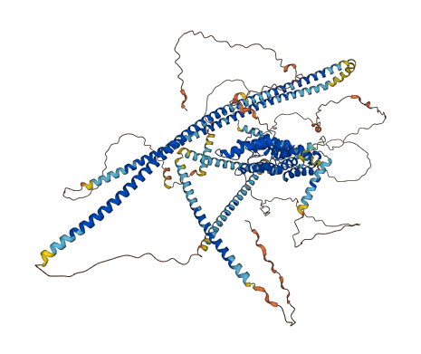 PPFIA1 3D structure