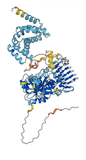 EIF2B5 3D structure