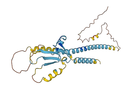 BAMBI 3D structure