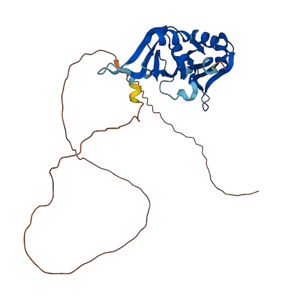 HNRNPA0 3D structure